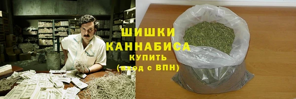 хмурый Дмитров
