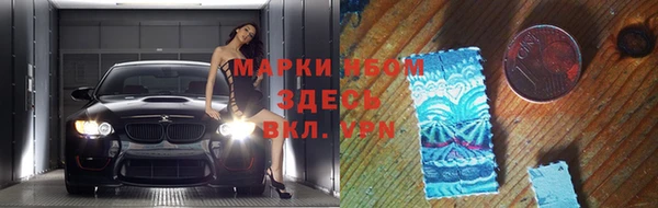 хмурый Дмитров