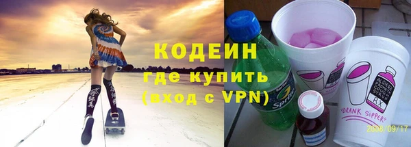 хмурый Дмитров
