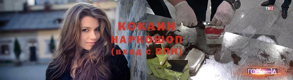 мдма Дмитриев