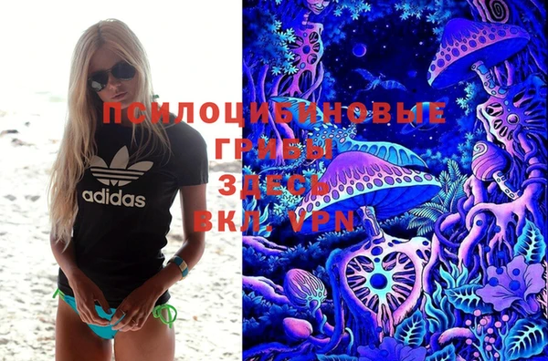 мдма Дмитриев