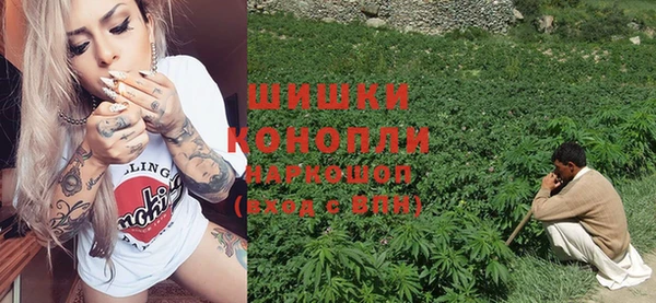 хмурый Дмитров