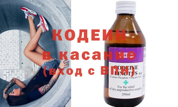 хмурый Пересвет