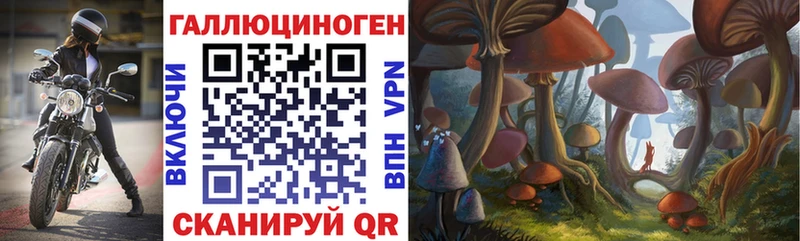 Галлюциногенные грибы Psilocybe Северобайкальск