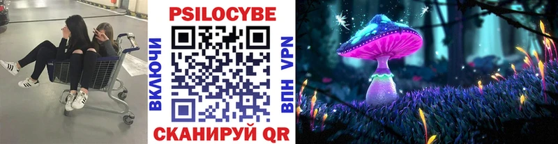 Галлюциногенные грибы Psilocybe  Северобайкальск 