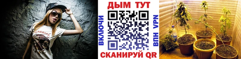 купить закладку  Северобайкальск  Бошки марихуана Ganja 