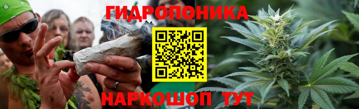 Бошки Шишки семена Северобайкальск